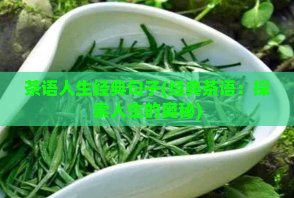 茶语人生经典句子(经典茶语:探索人生的奥秘)