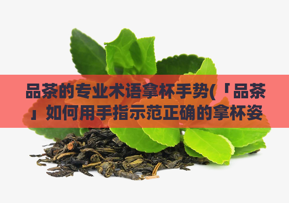 品茶的专业术语拿杯手势(「品茶」如何用手指示范正确的拿杯姿势)