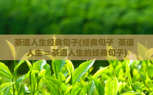 茶道人生经典句子(经典句子  茶道  人生 = 茶道人生的经典句子)