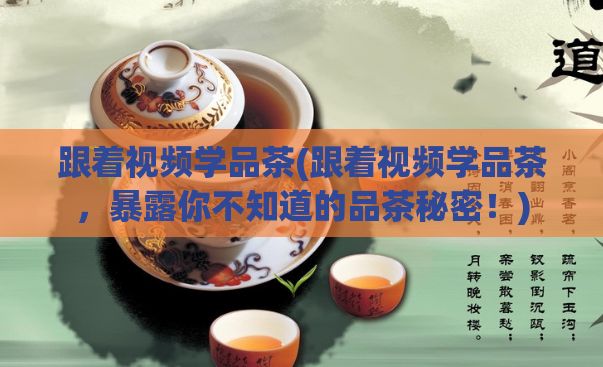 跟着视频学品茶(跟着视频学品茶,暴露你不知道的品茶秘密!)