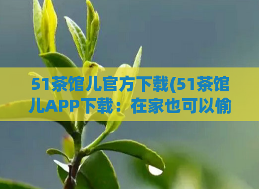 51茶馆儿官方下载(51茶馆儿APP下载：在家也可以愉快品茶！)