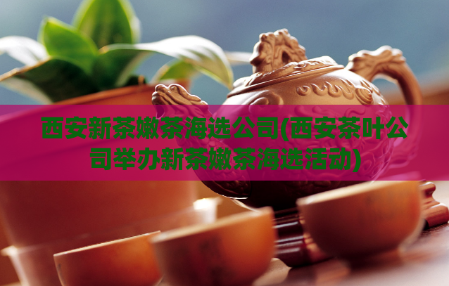 西安新茶嫩茶海选公司(西安茶叶公司举办新茶嫩茶海选活动)