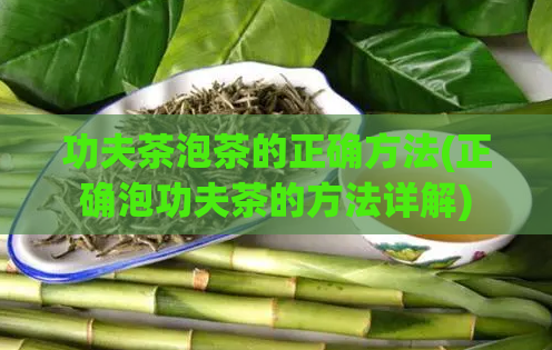 功夫茶泡茶的正确方法(正确泡功夫茶的方法详解)