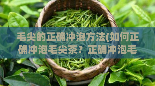 毛尖的正确冲泡方法(如何正确冲泡毛尖茶?正确冲泡毛尖茶的方法)