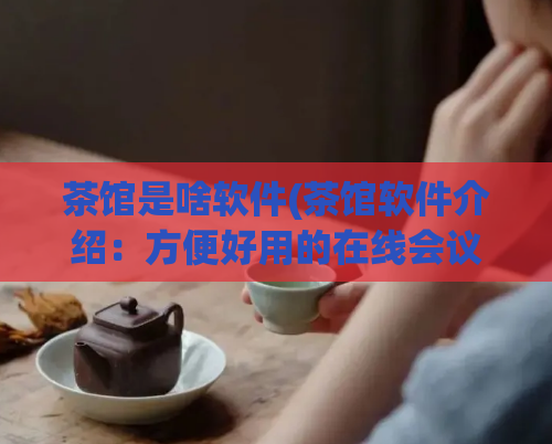 茶馆是啥软件(茶馆软件介绍：方便好用的在线会议工具)