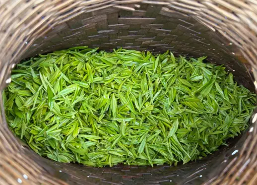上海城隍庙：一口生煎小笼里的百年烟火气🥟