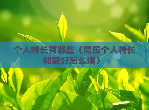 个人特长有哪些(简历个人特长和爱好怎么填)