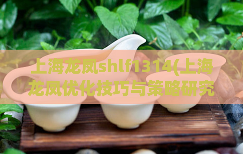 上海龙凤shlf1314(上海龙凤优化技巧与策略研究)