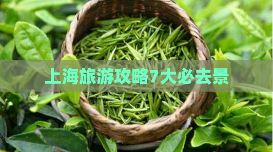 上海旅游攻略7大必去景