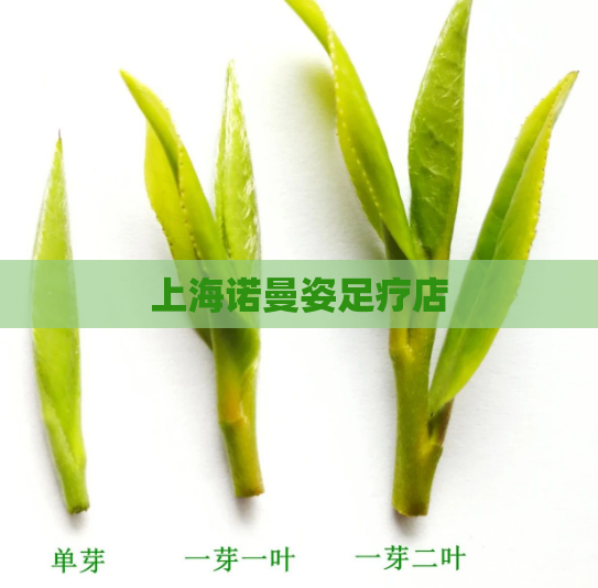 上海诺曼姿足疗店
