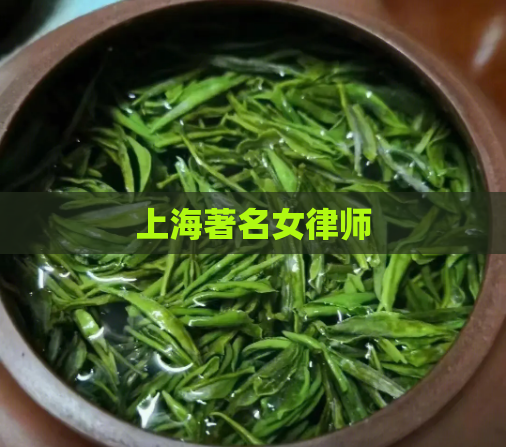 上海著名女律师