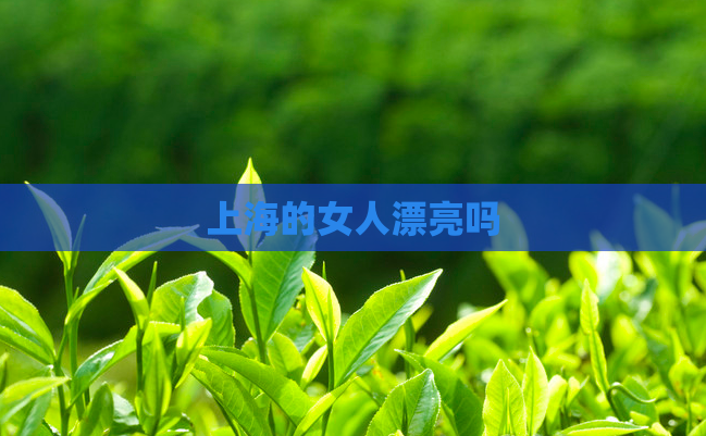 上海的女人漂亮吗