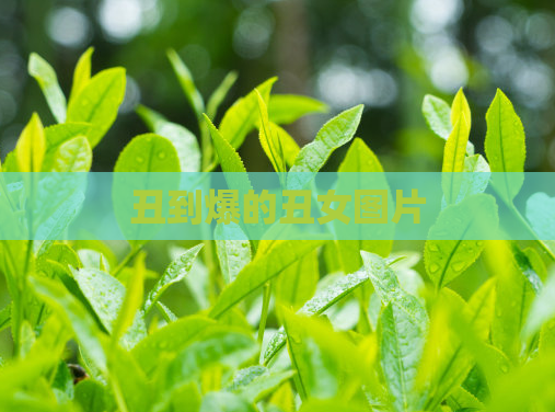 丑到爆的丑女图片