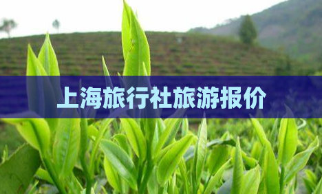 上海旅行社旅游报价