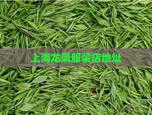 上海龙凤服装店地址