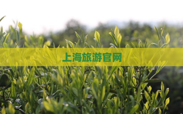 上海旅游官网