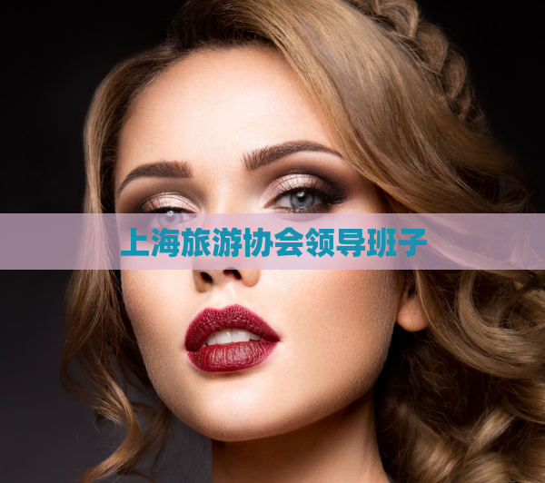 上海旅游协会领导班子