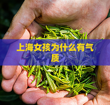 上海女孩为什么有气质