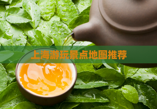 上海游玩景点地图推荐