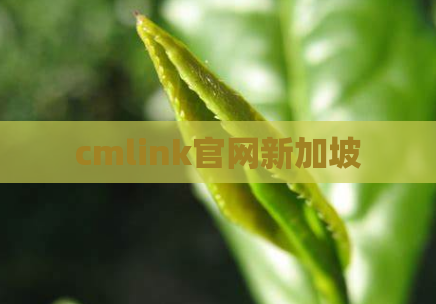 cmlink官网新加坡