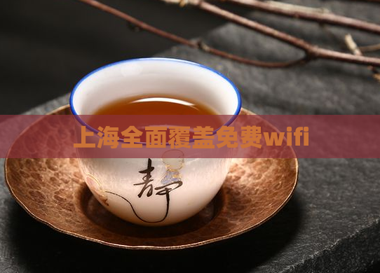 上海全面覆盖免费wifi