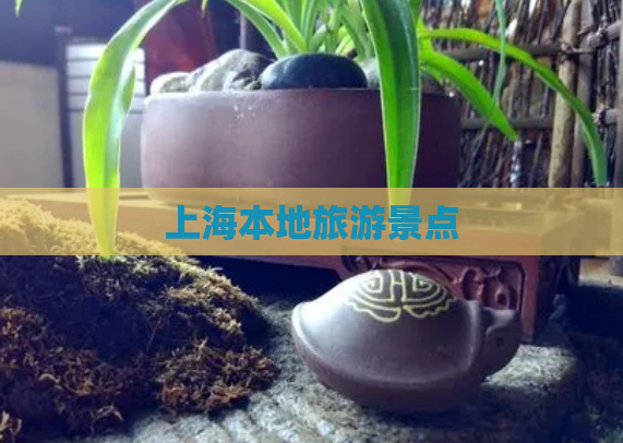 上海本地旅游景点