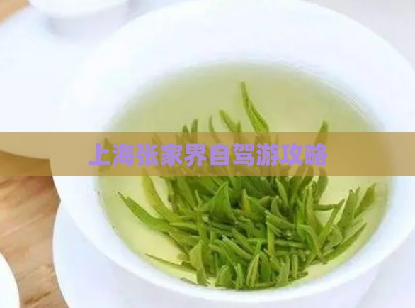上海张家界自驾游攻略