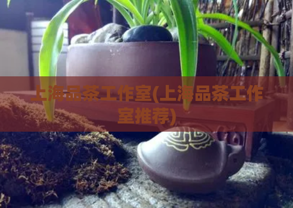 上海品茶工作室(上海品茶工作室推荐)