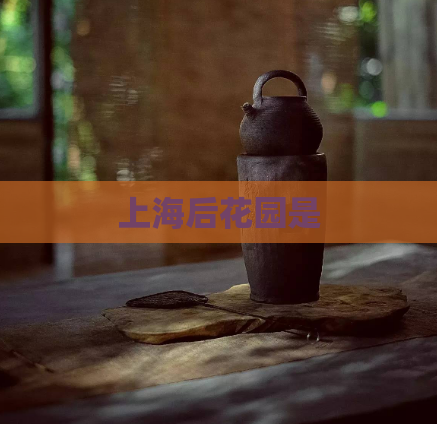上海后花园是