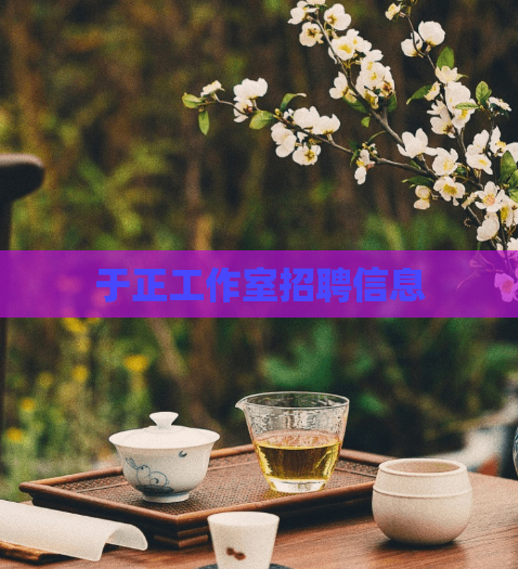 于正工作室招聘信息