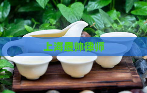 上海最帅律师