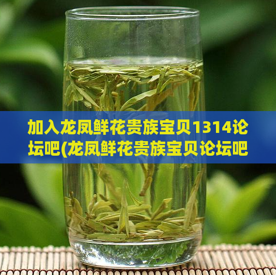 加入龙凤鲜花贵族宝贝1314论坛吧(龙凤鲜花贵族宝贝论坛吧)