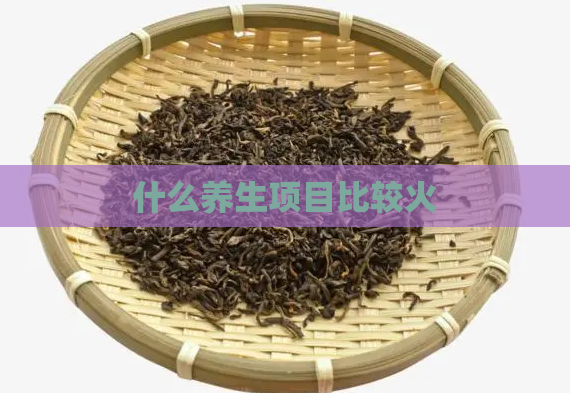 什么养生项目比较火