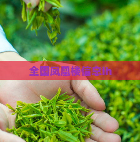 全国凤凰楼信息ih