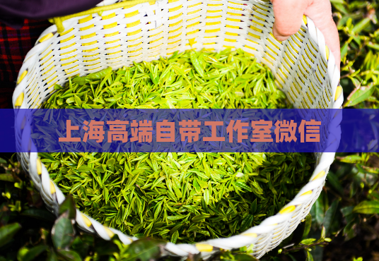 上海高端自带工作室微信